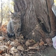 Андрей, г. Оренбург