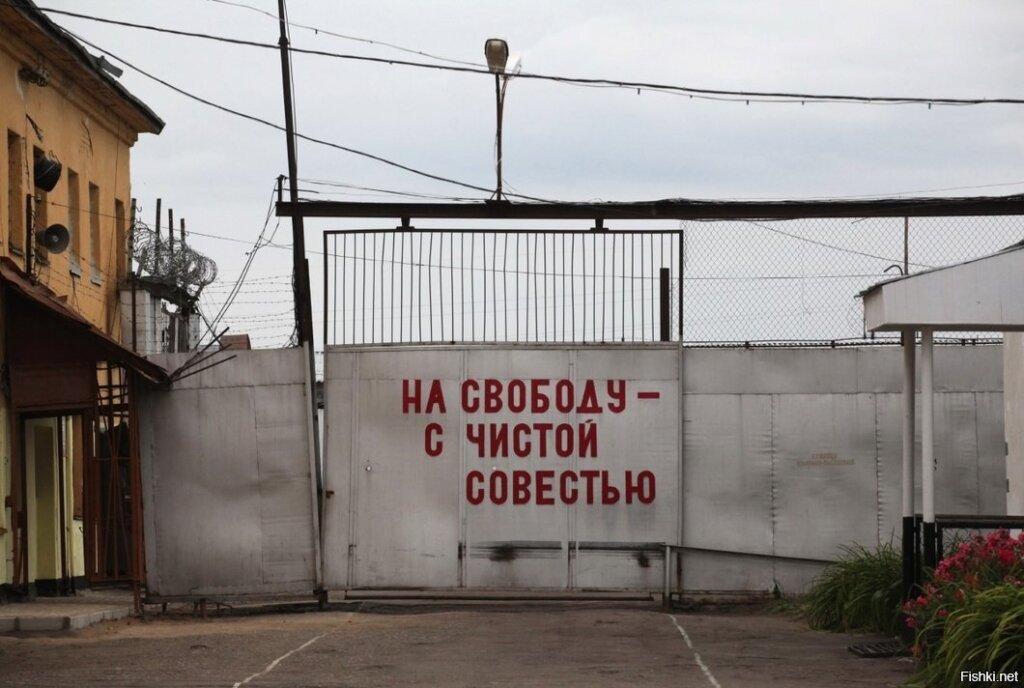 Уголовная амнистия 2020 – чего ждать?