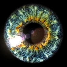 Бурик Наталья Юрьевна, г. Ростов-на-Дону