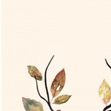 Стася, г. Краснодар