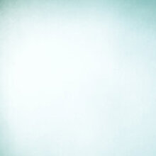  Палкина Александра Александровна, г. Ростов-на-Дону