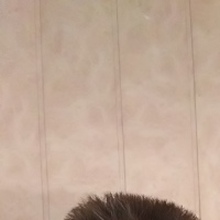 Владимир, г. Петропавловск-Камчатский