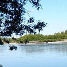 ФЁДОР, г. Елизово