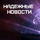 Денис Надеждин. Журналист