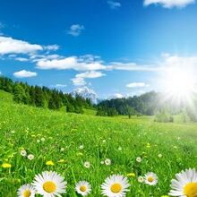 Шефер Александр Викторович, г. Одесское