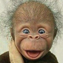 Елена, г. Уссурийск