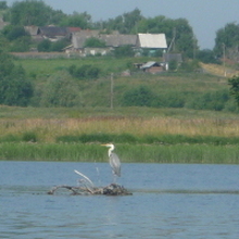 Наталья, г. Чебоксары