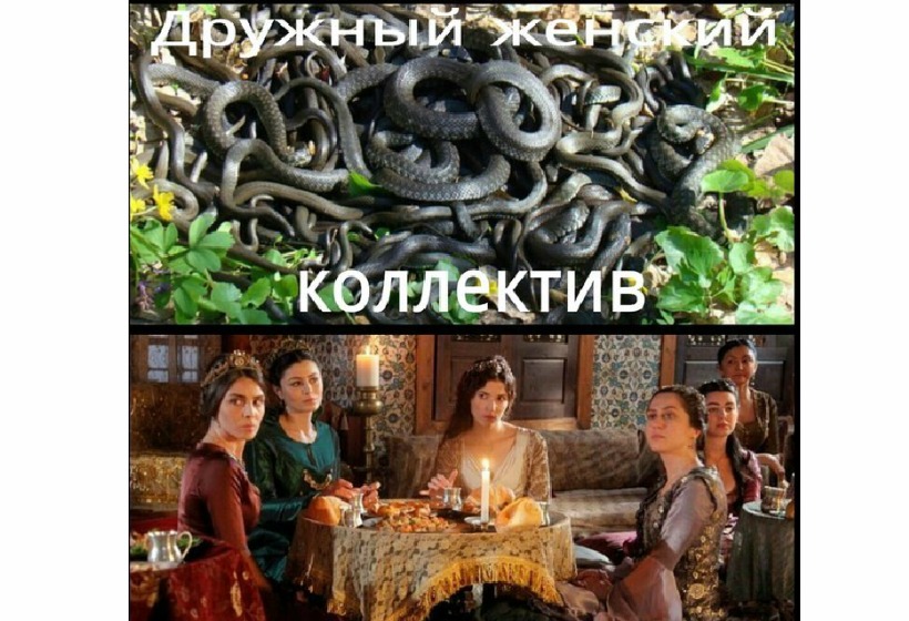 Коллектив Змей Фото
