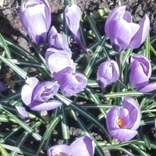 Марина, г. Казань