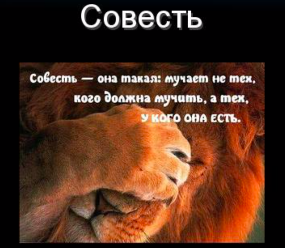 если у вас есть совесть значит наверняка нет денег. Смотреть фото если у вас есть совесть значит наверняка нет денег. Смотреть картинку если у вас есть совесть значит наверняка нет денег. Картинка про если у вас есть совесть значит наверняка нет денег. Фото если у вас есть совесть значит наверняка нет денег