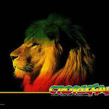 Адвокат Митрофанов Александр Александрович, г. Казань