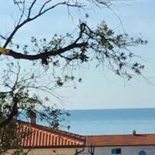 Борис., г. Тюмень