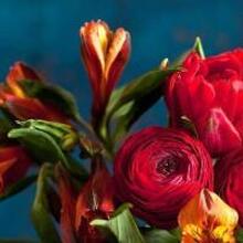 Ирина, г. Черкесск