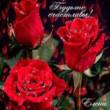 Елена, г. Углич