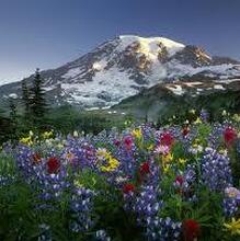 Наталья, г. Новоалтайск