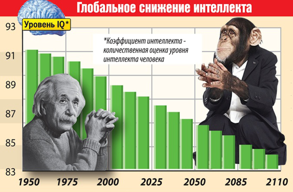 Человек с низким социальным уровнем. Уровни снижения интеллекта. Низкий уровеньинтнлекта. Уровень интеллекта у человека. Самый низкий уровень интеллекта у человека.