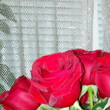 Лариса, г. Челябинск