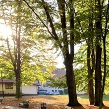 Алексей, г. Санкт-Петербург