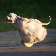 Алла, г. Калуга