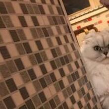 Александр Владимирович, г. Орёл