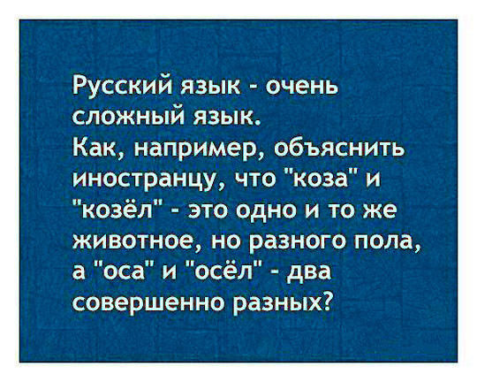 на каком языке думают иностранцы. Смотреть фото на каком языке думают иностранцы. Смотреть картинку на каком языке думают иностранцы. Картинка про на каком языке думают иностранцы. Фото на каком языке думают иностранцы