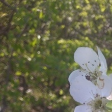 Юлия, г. Камышин