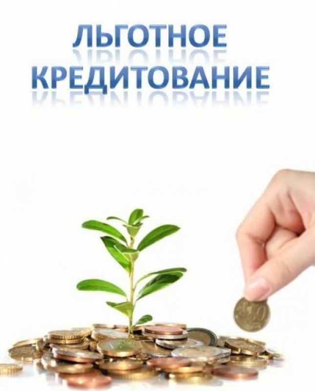 Как получить невозвратный кредит на поддержание деятельности в период пандемии.