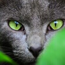 Olga, г. Тамбов