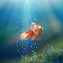 Владимир, г. Саратов