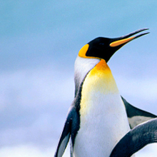 Юрист Бычков Юрий Николаевич, г. Мурманск