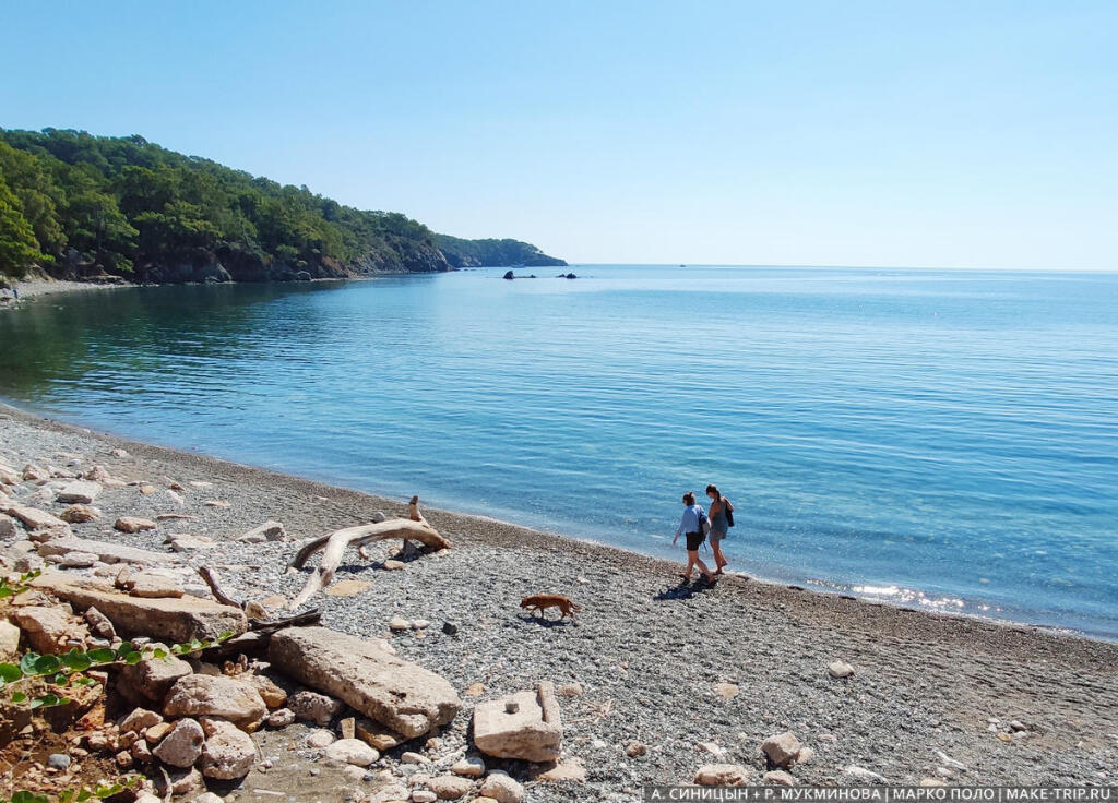 Лето 2020: куда недорого поехать на море в кризис