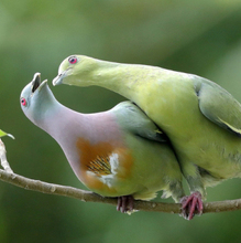 Кристина, г. Иркутск