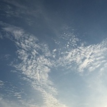  Ильина Надежда Александровна, г. Подольск