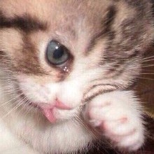 Веснушка, г. Москва