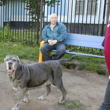 Сергей, г. Москва