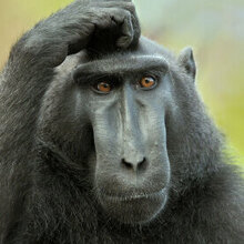 Сергей, г. Ростов-на-Дону