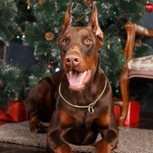 Евгений, г. Бай-Хаак