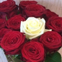 Анна, г. Новый Уренгой