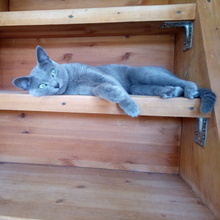 Александра, г. Владивосток