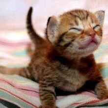 Кира, г. Краснодар