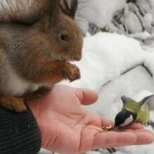 Дмитрий Евгеньевич, г. Челябинск