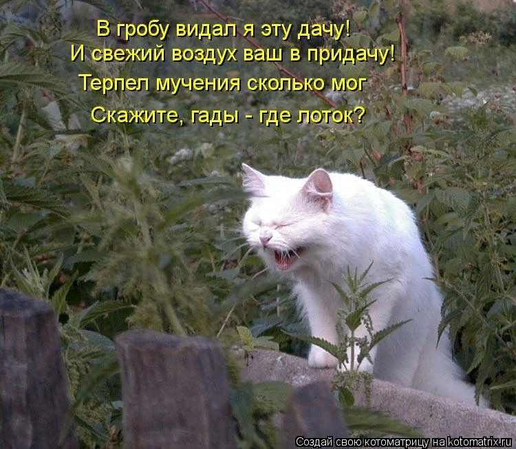 женщину украшает острый ум хорошие манеры безупречный внешний вид и регулярное пьянство по выходным. Смотреть фото женщину украшает острый ум хорошие манеры безупречный внешний вид и регулярное пьянство по выходным. Смотреть картинку женщину украшает острый ум хорошие манеры безупречный внешний вид и регулярное пьянство по выходным. Картинка про женщину украшает острый ум хорошие манеры безупречный внешний вид и регулярное пьянство по выходным. Фото женщину украшает острый ум хорошие манеры безупречный внешний вид и регулярное пьянство по выходным