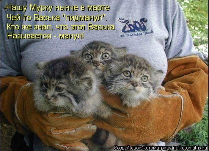 женщину украшает острый ум хорошие манеры безупречный внешний вид и регулярное пьянство по выходным. Смотреть фото женщину украшает острый ум хорошие манеры безупречный внешний вид и регулярное пьянство по выходным. Смотреть картинку женщину украшает острый ум хорошие манеры безупречный внешний вид и регулярное пьянство по выходным. Картинка про женщину украшает острый ум хорошие манеры безупречный внешний вид и регулярное пьянство по выходным. Фото женщину украшает острый ум хорошие манеры безупречный внешний вид и регулярное пьянство по выходным