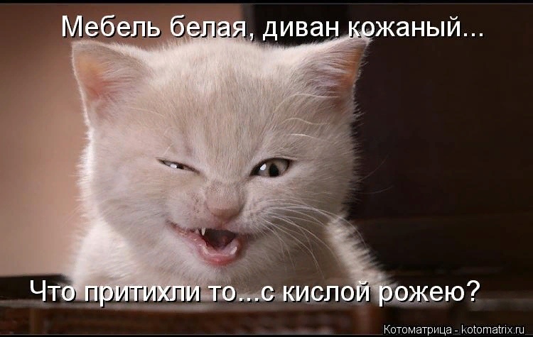 женщину украшает острый ум хорошие манеры безупречный внешний вид и регулярное пьянство по выходным. Смотреть фото женщину украшает острый ум хорошие манеры безупречный внешний вид и регулярное пьянство по выходным. Смотреть картинку женщину украшает острый ум хорошие манеры безупречный внешний вид и регулярное пьянство по выходным. Картинка про женщину украшает острый ум хорошие манеры безупречный внешний вид и регулярное пьянство по выходным. Фото женщину украшает острый ум хорошие манеры безупречный внешний вид и регулярное пьянство по выходным