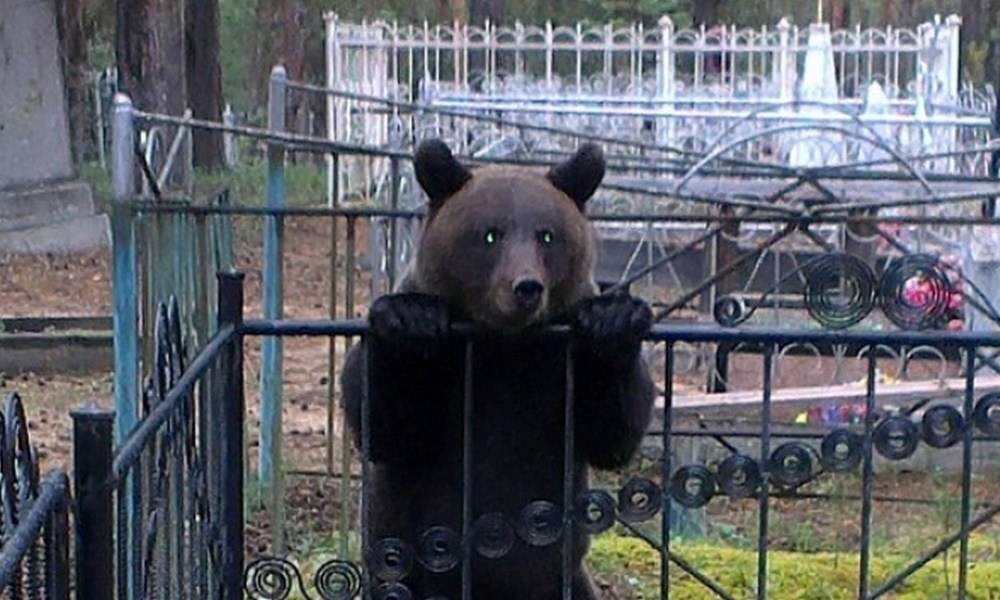 План кладбища старт в комсомольске на амуре