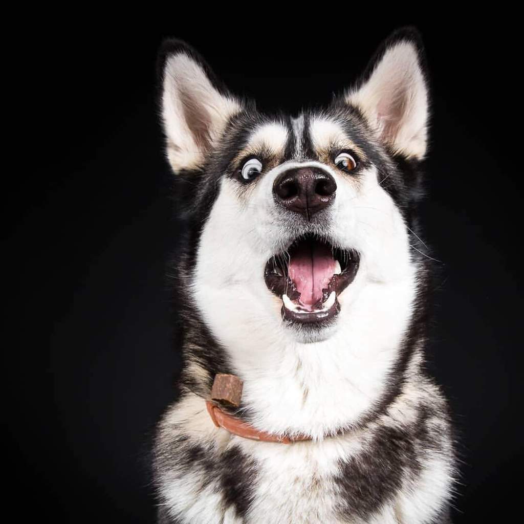 вававававава. Png. вавававввваваллллллллллллллллллллллллл. вавававававававвававававав. вавав вавава.