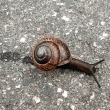 Анатолий, г. Тихвин