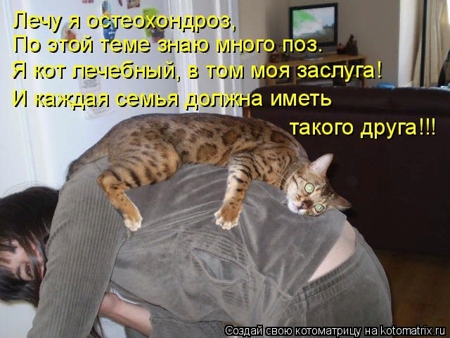 Свежесть белья заслуга моя. Цитаты дзержинского. Нет это не заслуга а удача. Лечебный кот. Нет то не заслуга а удача.