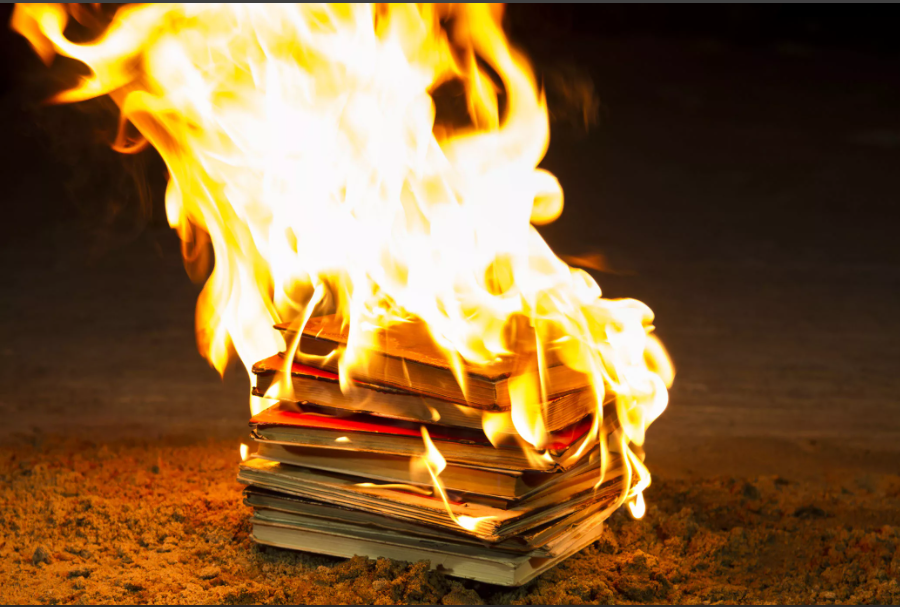 Кто сжег библиотеку. Горящая книга