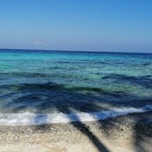 Юрисконсульт Касим Нина Евгеньевна, г. Хабаровск